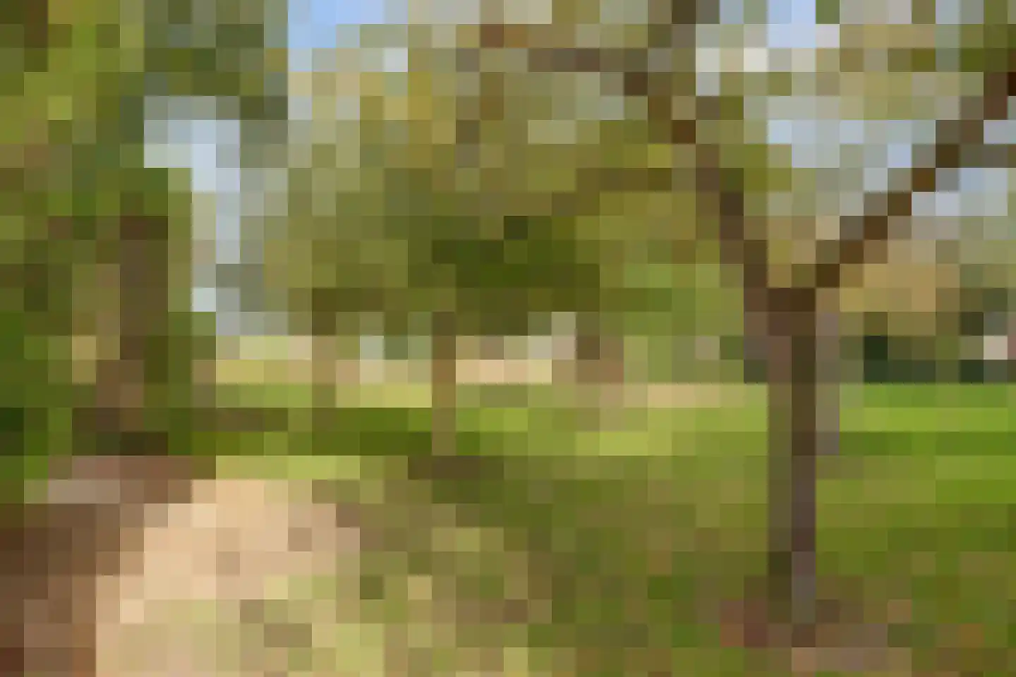 Oude Zeedijk 1 b Dussen thumbnail 43