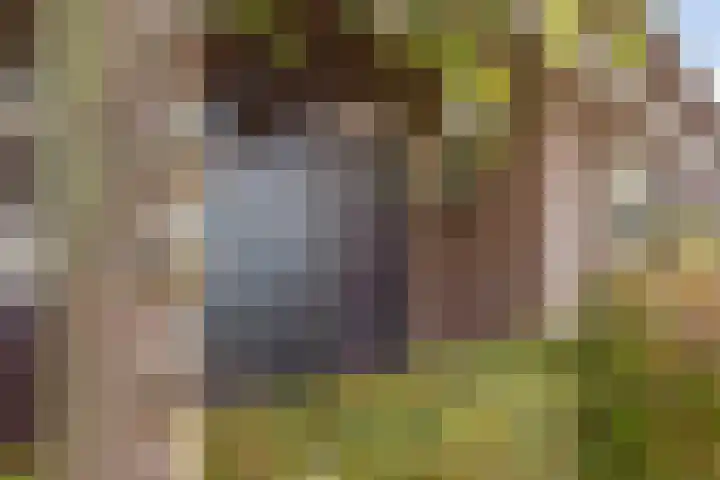 Oude Zeedijk 1 b Dussen thumbnail 46