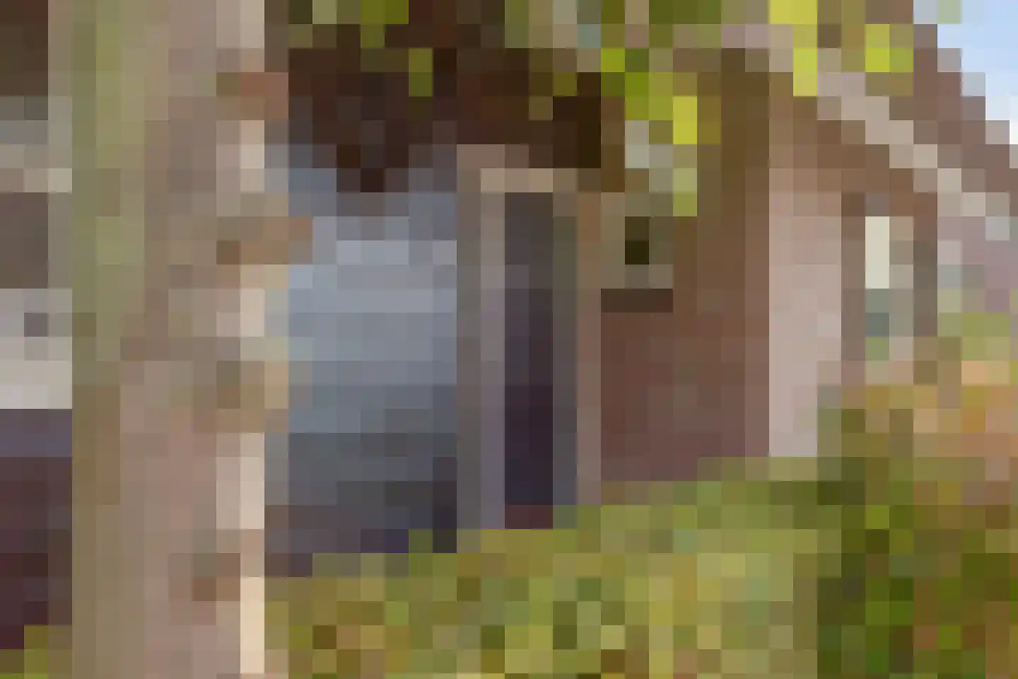 Oude Zeedijk 1 b Dussen thumbnail 46