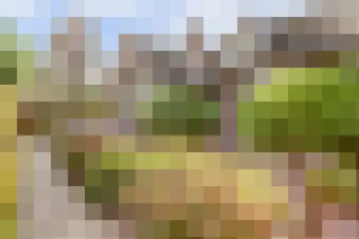 Oude Zeedijk 1 b Dussen thumbnail 48