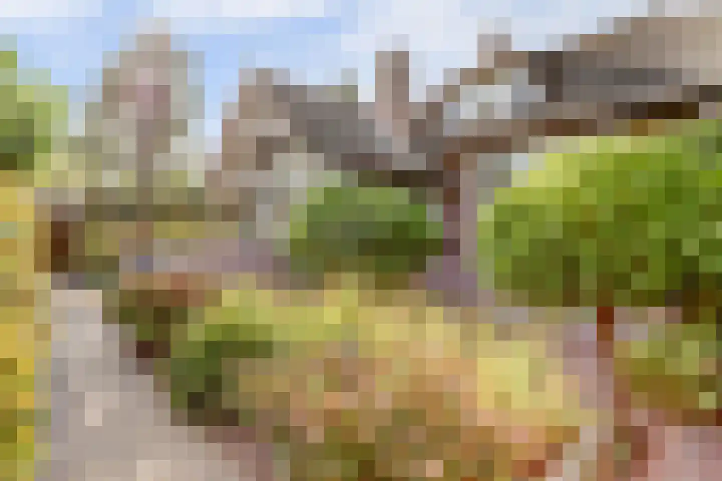 Oude Zeedijk 1 b Dussen thumbnail 48