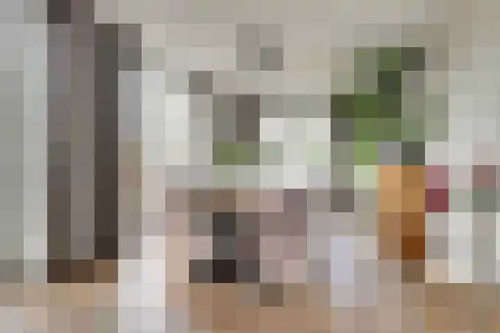 Oude Zeedijk 1 b Dussen thumbnail 8