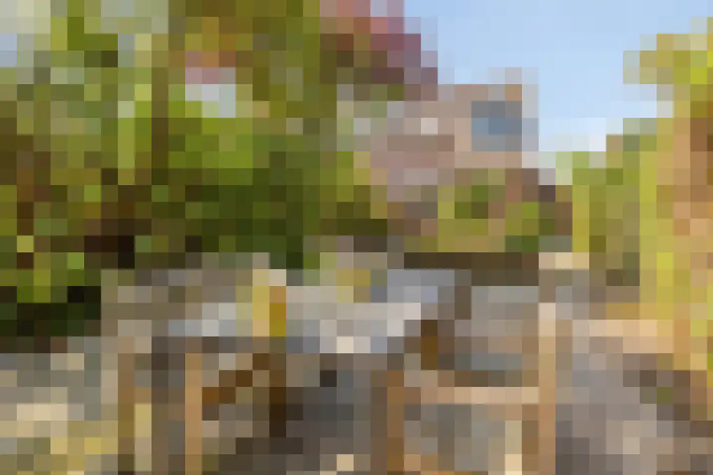 Oude Zeedijk 32 Kattendijke