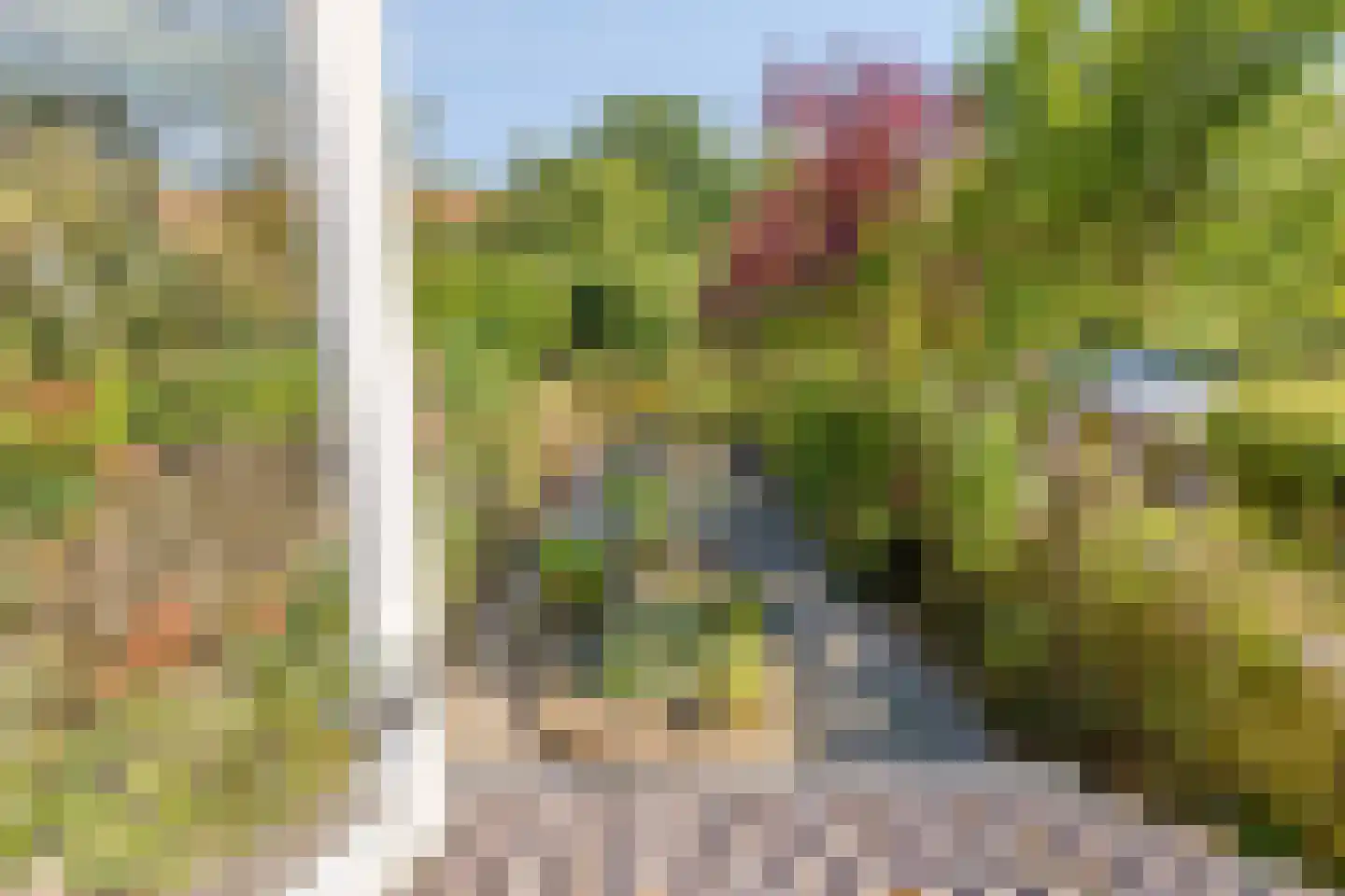 Oude Zeedijk 32 Kattendijke thumbnail 16