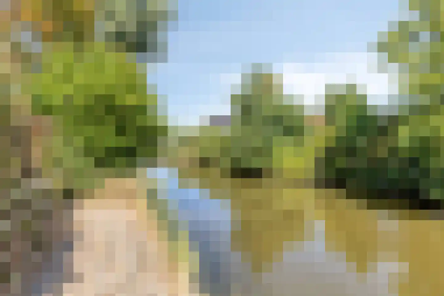 Oude Zeedijk 32 Kattendijke thumbnail 17