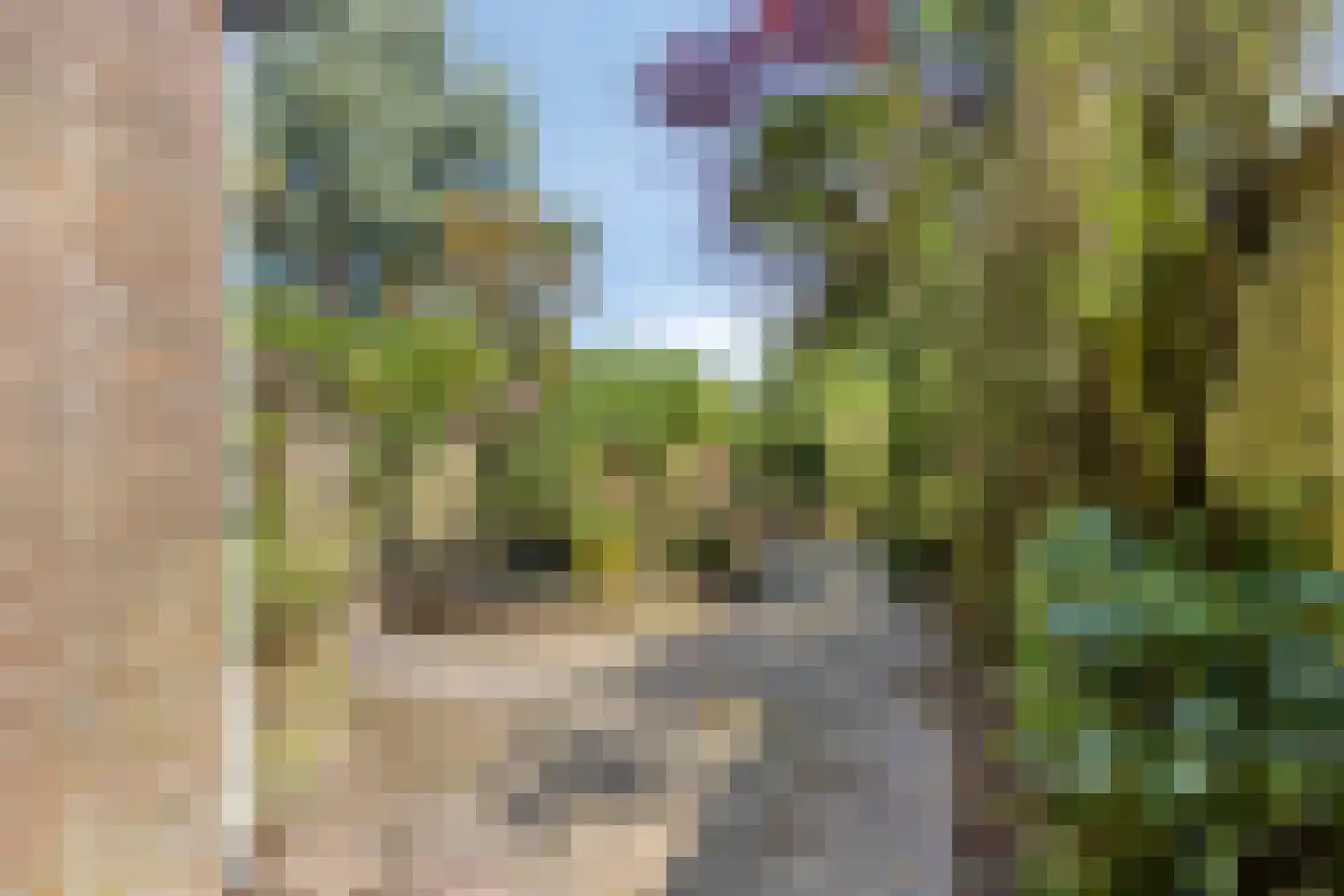 Oude Zeedijk 32 Kattendijke thumbnail 18