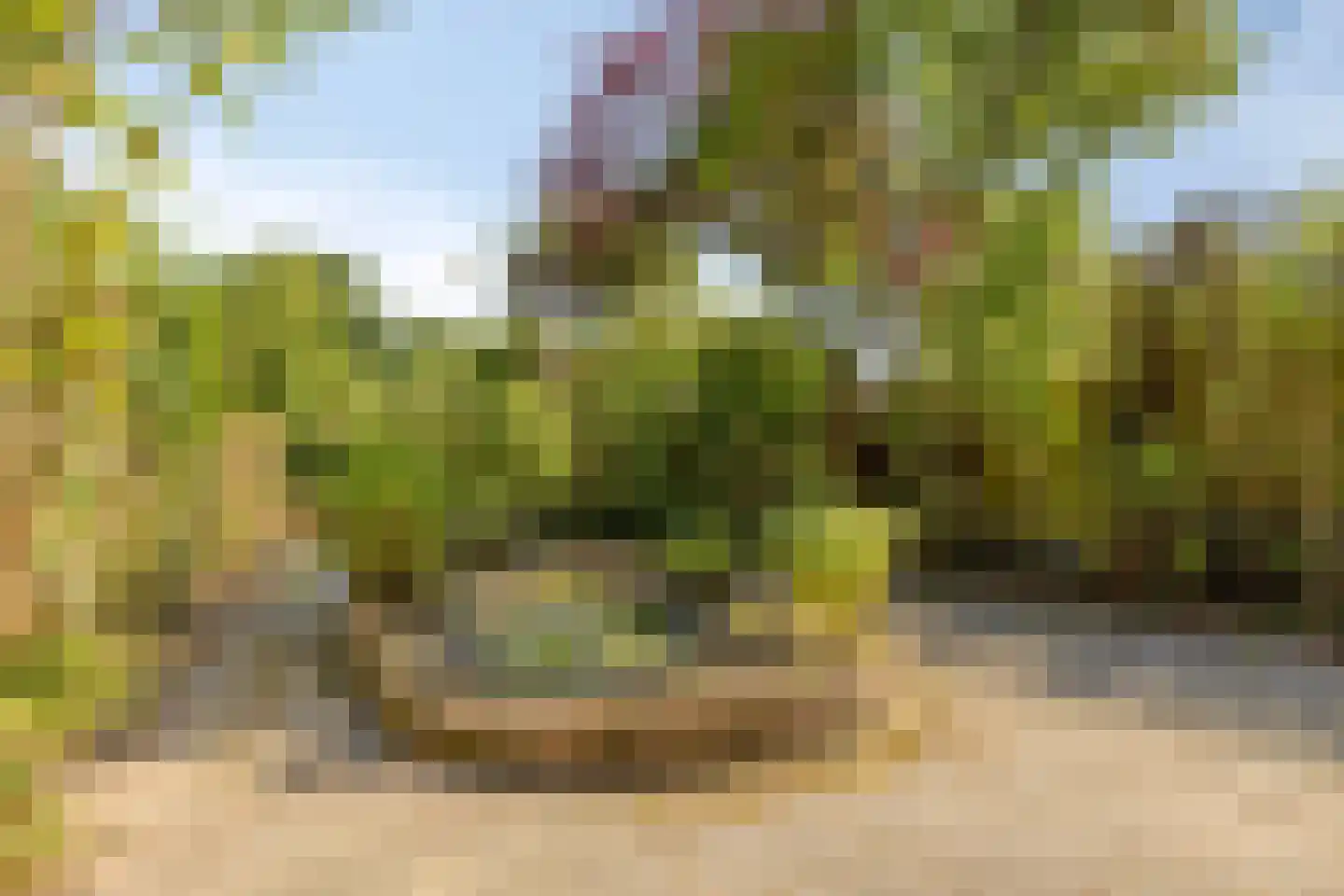 Oude Zeedijk 32 Kattendijke thumbnail 19