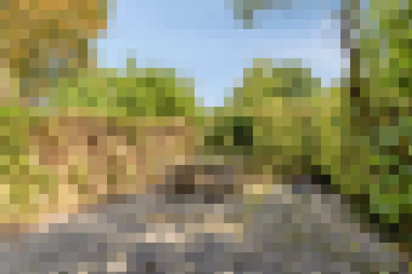 Oude Zeedijk 32 Kattendijke thumbnail 20