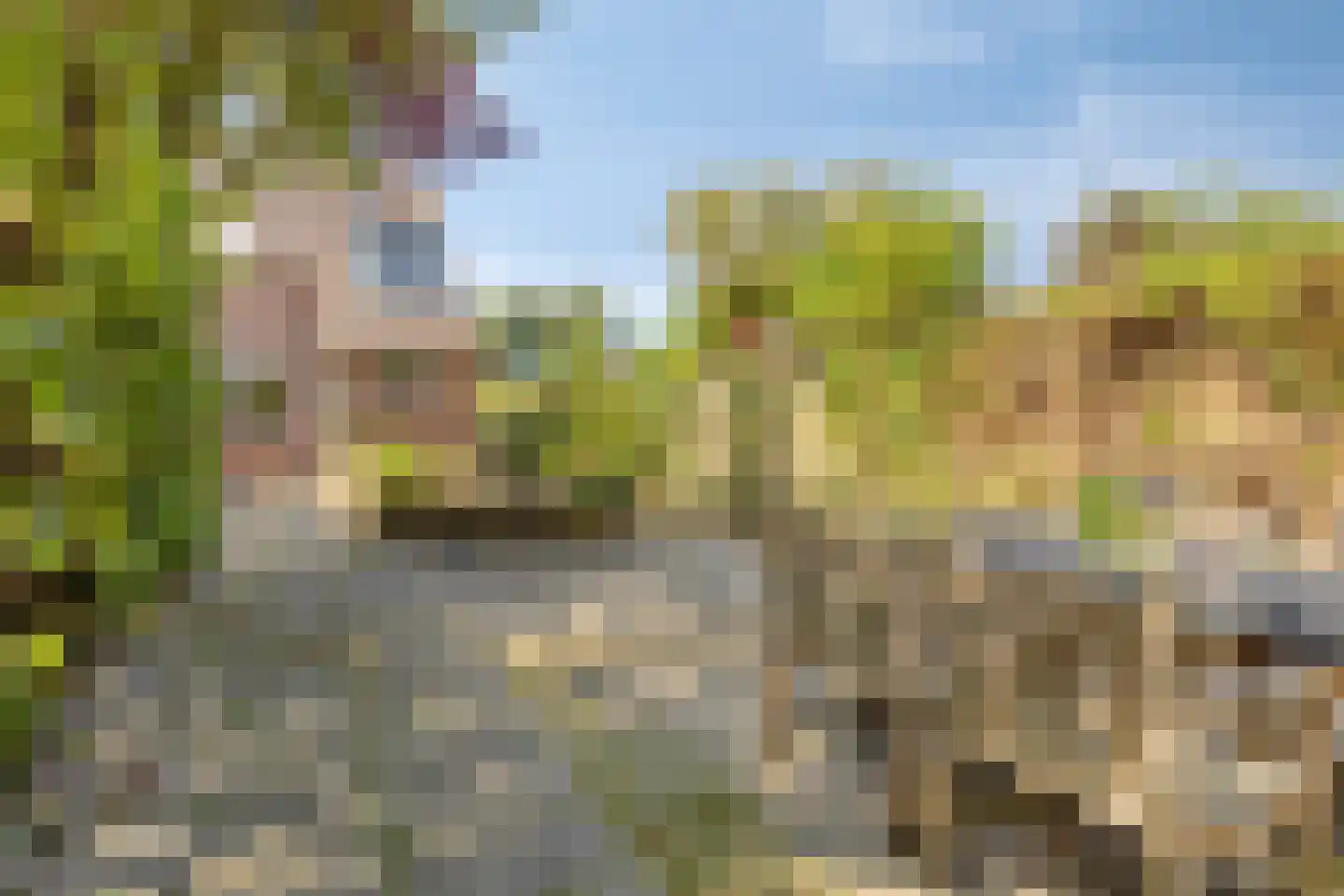 Oude Zeedijk 32 Kattendijke thumbnail 21