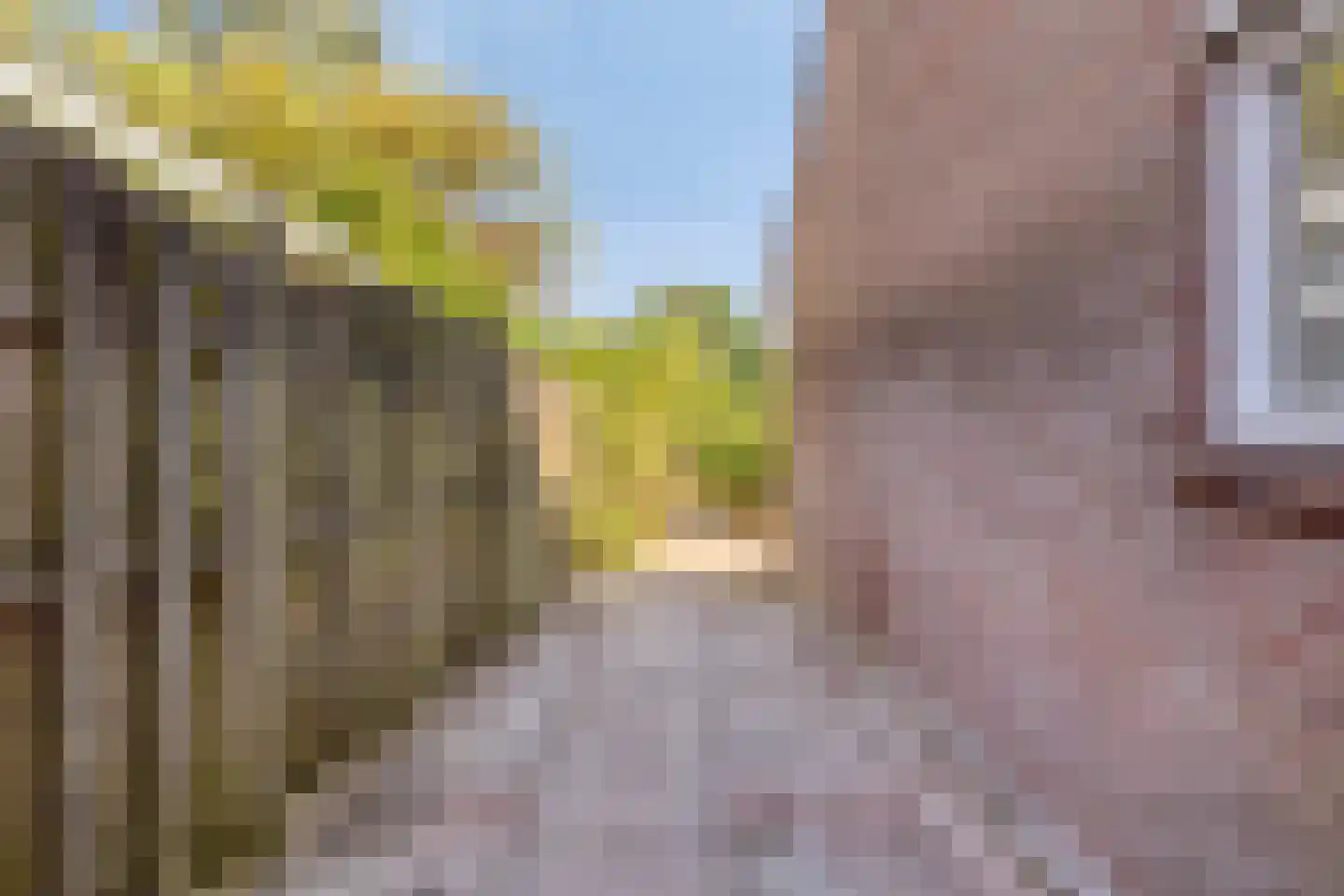 Oude Zeedijk 32 Kattendijke thumbnail 22