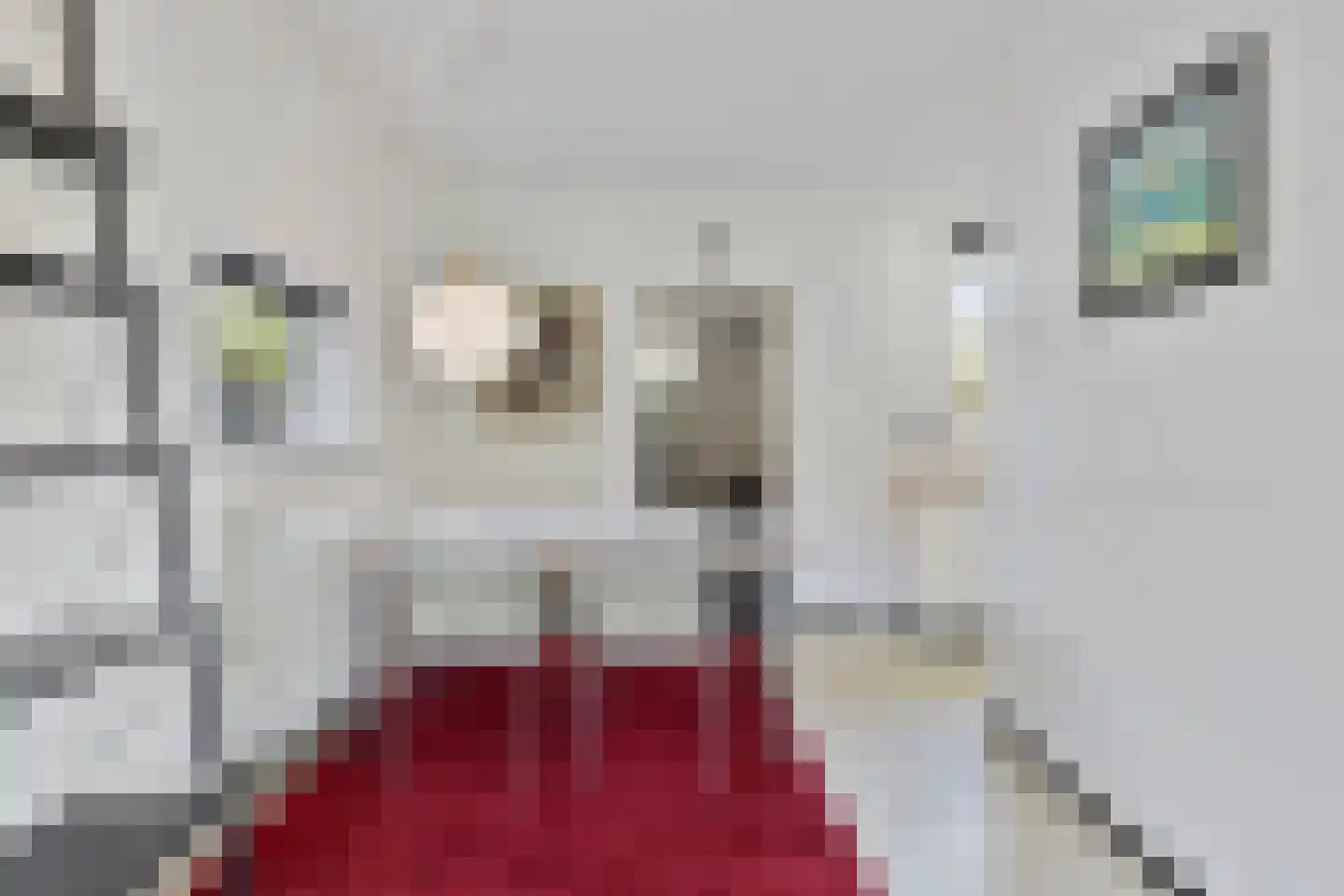 Oude Zeedijk 32 Kattendijke thumbnail 32