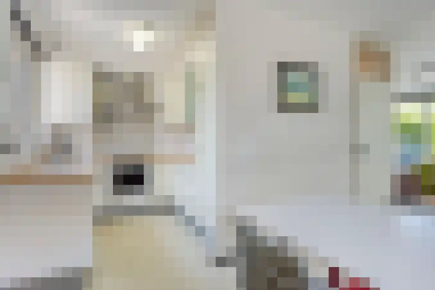 Oude Zeedijk 32 Kattendijke thumbnail 34