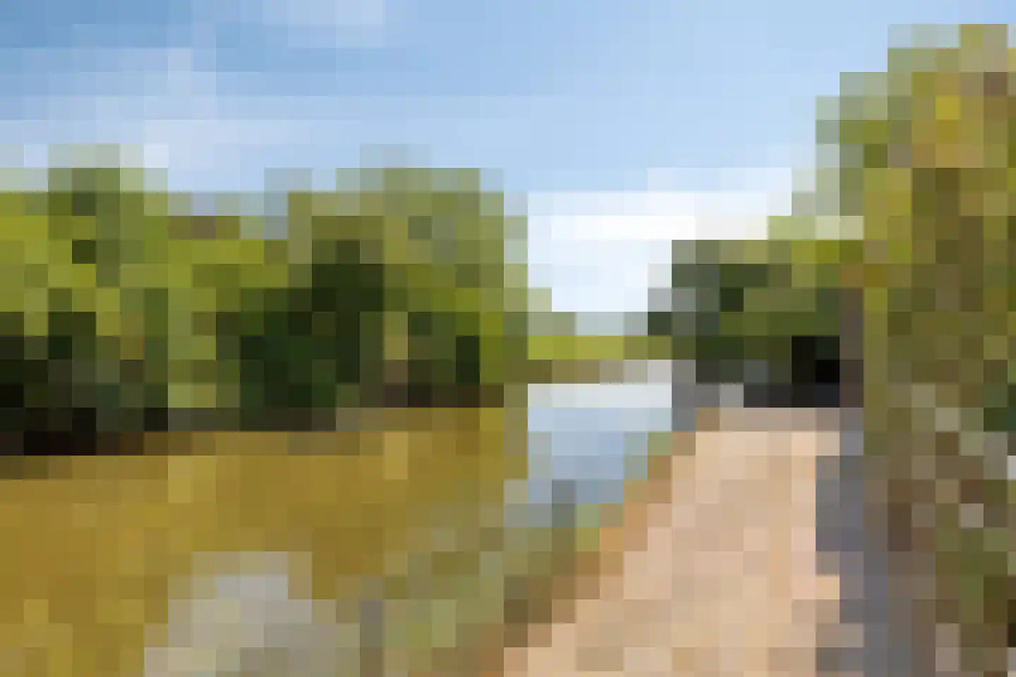 Oude Zeedijk 32 Kattendijke thumbnail 4