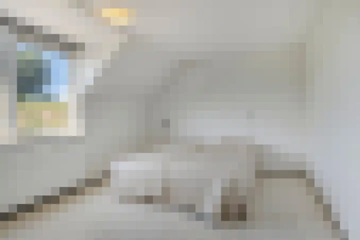 Oude Zeedijk 32 Kattendijke thumbnail 43