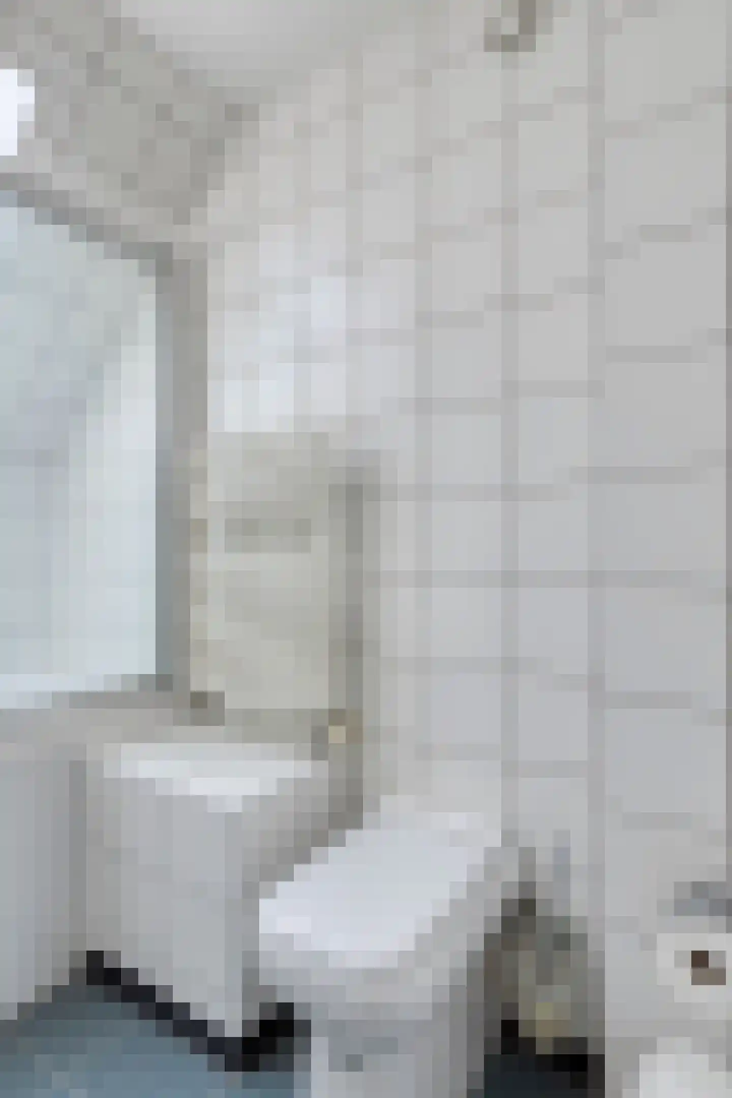 Oude Zeedijk 32 Kattendijke thumbnail 47
