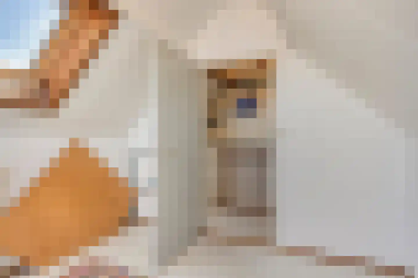 Oude Zeedijk 32 Kattendijke thumbnail 54