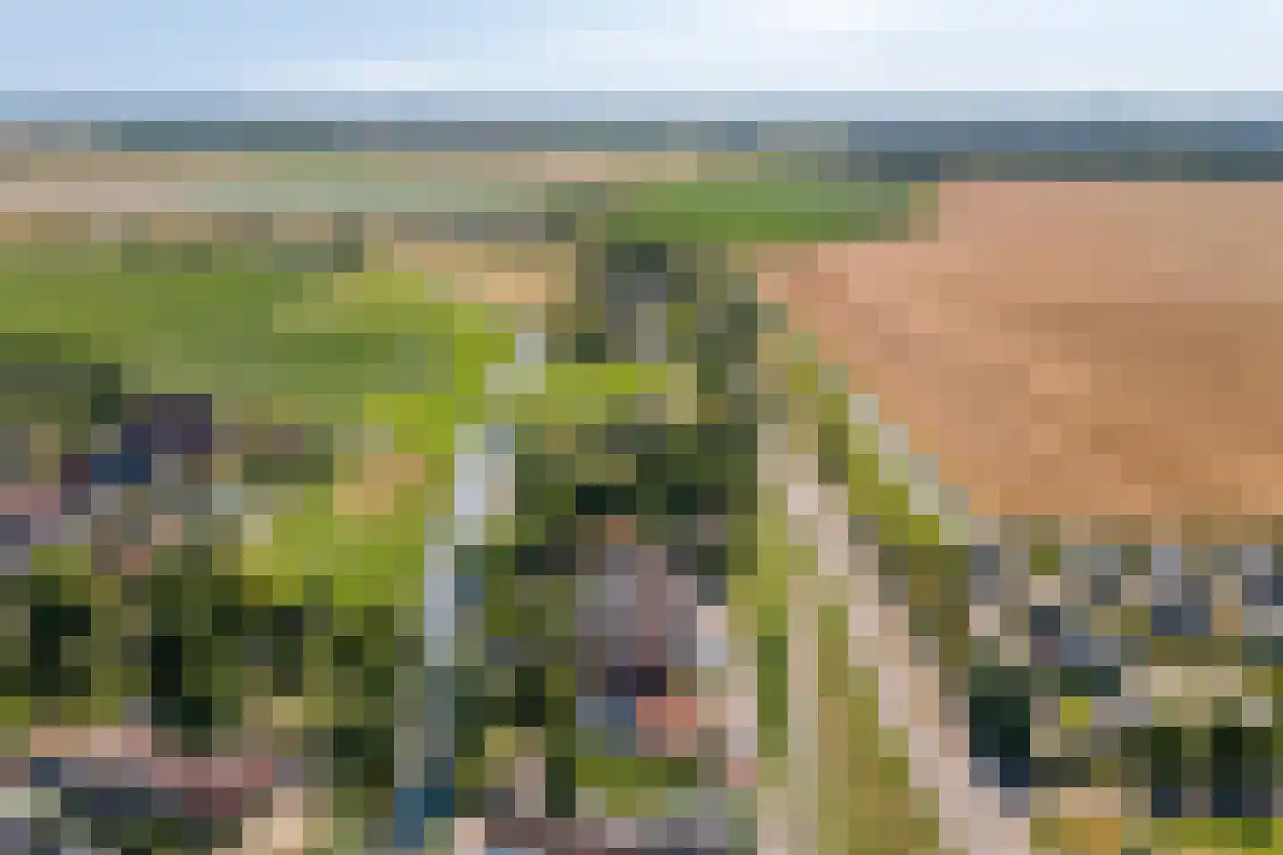 Oude Zeedijk 32 Kattendijke thumbnail 64