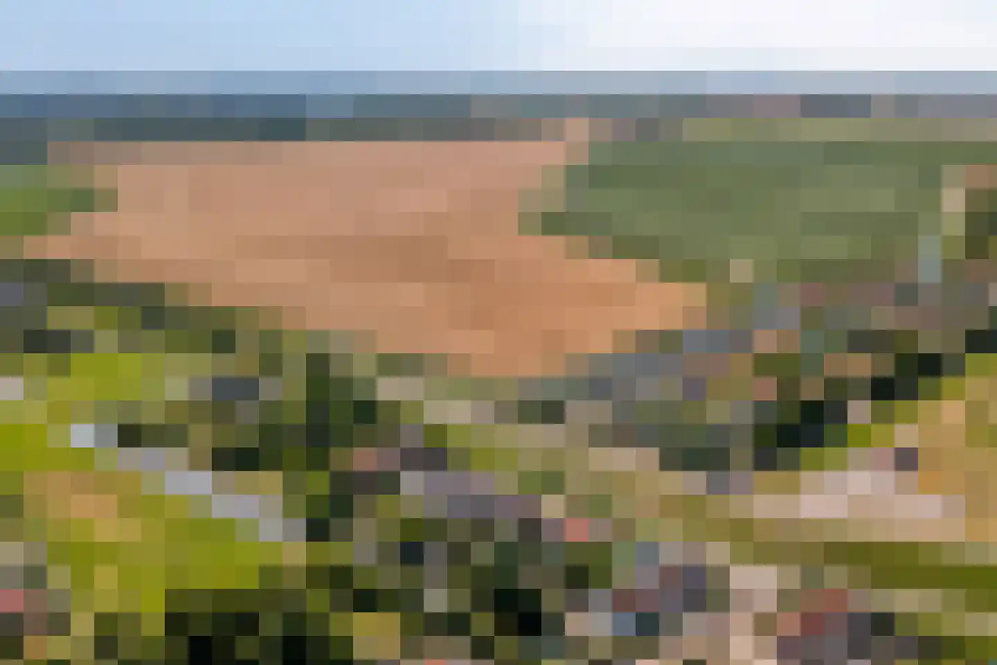 Oude Zeedijk 32 Kattendijke thumbnail 65