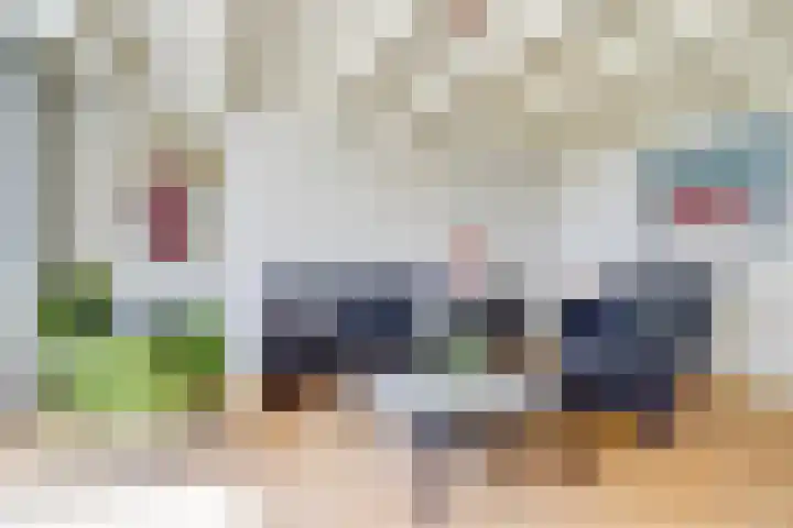 Oude Zeedijk 6 Sint-Annaland thumbnail 10