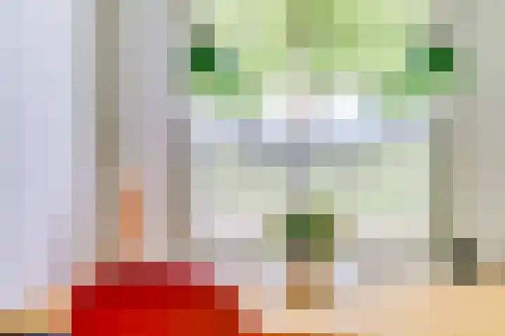 Oude Zeedijk 6 Sint-Annaland thumbnail 20