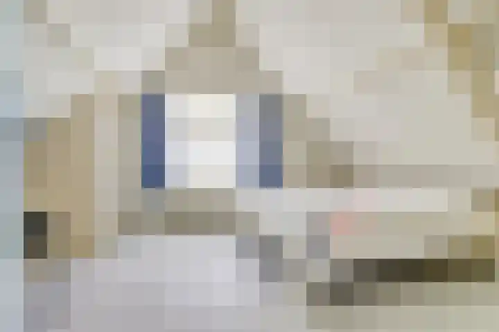 Oude Zeedijk 6 Sint-Annaland thumbnail 32