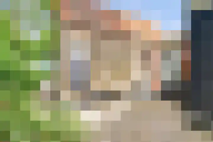 Oude Zeedijk 6 Sint-Annaland thumbnail 35