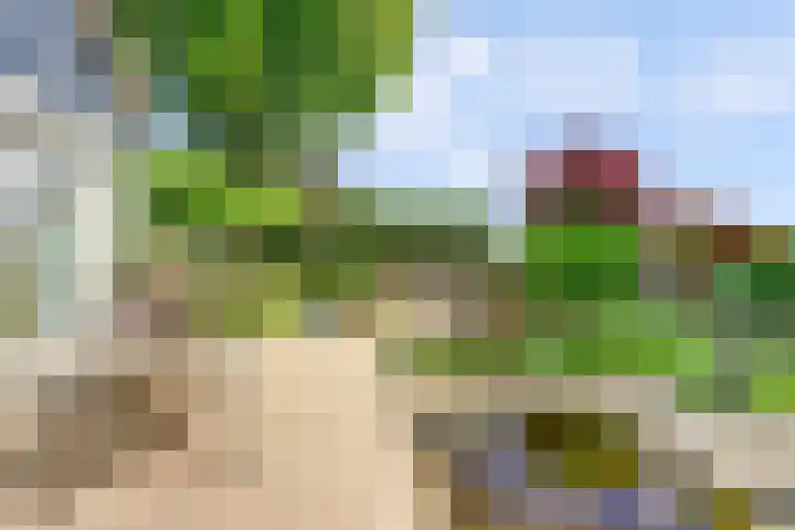 Oude Zeedijk 6 Sint-Annaland thumbnail 36
