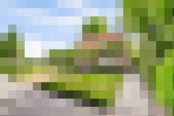Oude Zeedijk 6 Sint-Annaland thumbnail 4