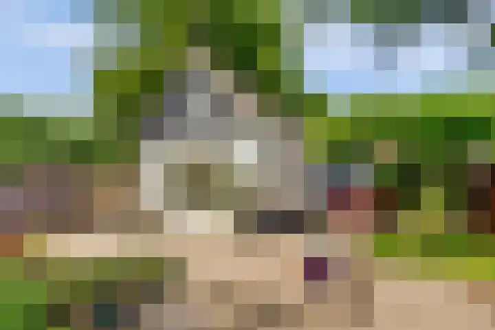 Oude Zeedijk 6 Sint-Annaland thumbnail 40