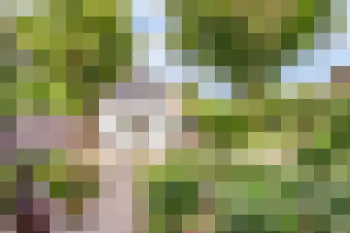 Oude Zeedijk 6 Sint-Annaland thumbnail 41
