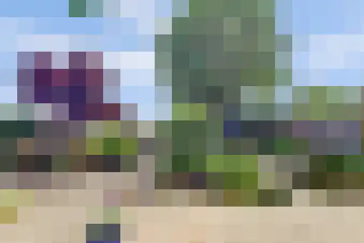 Oude Zeedijk 6 Sint-Annaland thumbnail 45