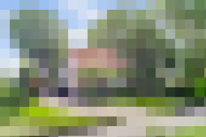 Oude Zeedijk 6 Sint-Annaland thumbnail 65