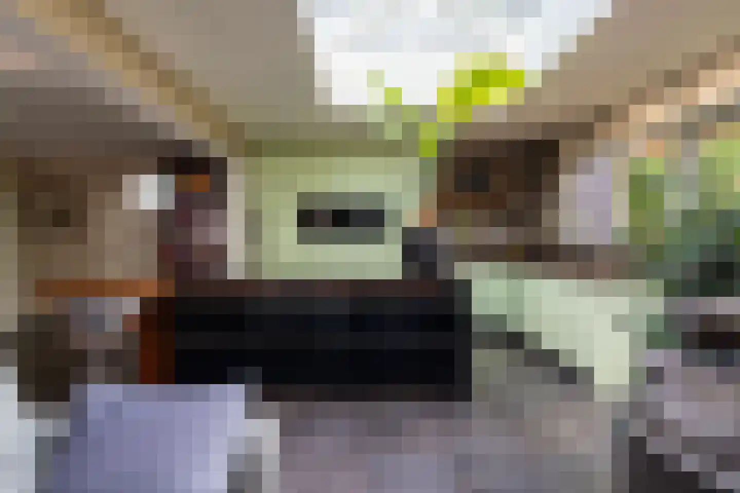 Oude Zeedijk 7 Dussen thumbnail 10