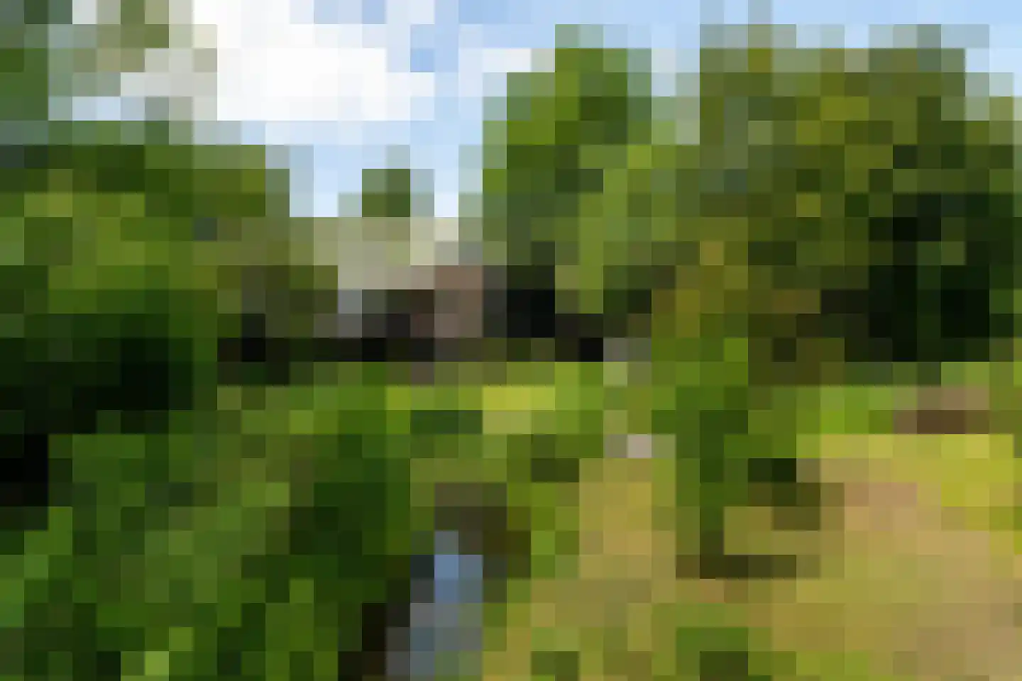 Oude Zeedijk 7 Dussen thumbnail 41