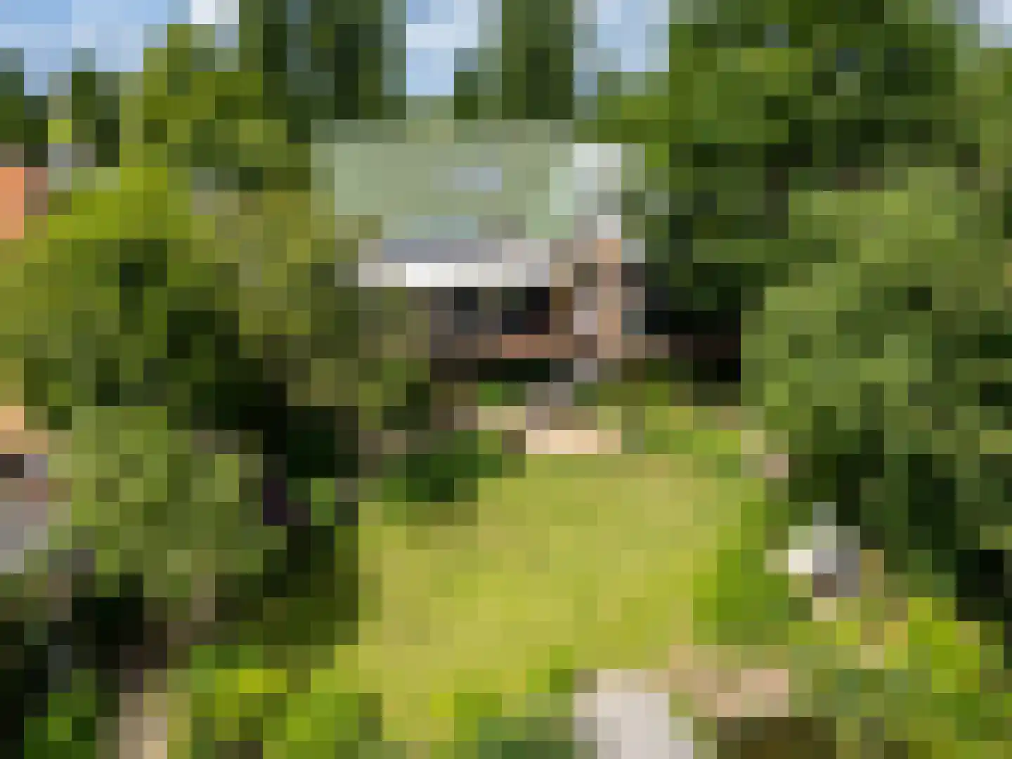 Oude Zeedijk 7 Dussen thumbnail 42
