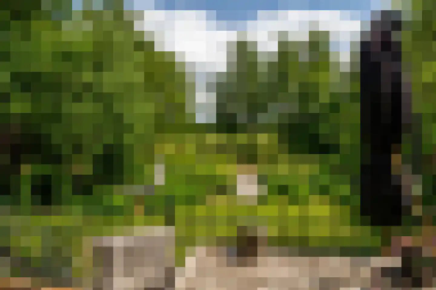 Oude Zeedijk 7 Dussen thumbnail 44