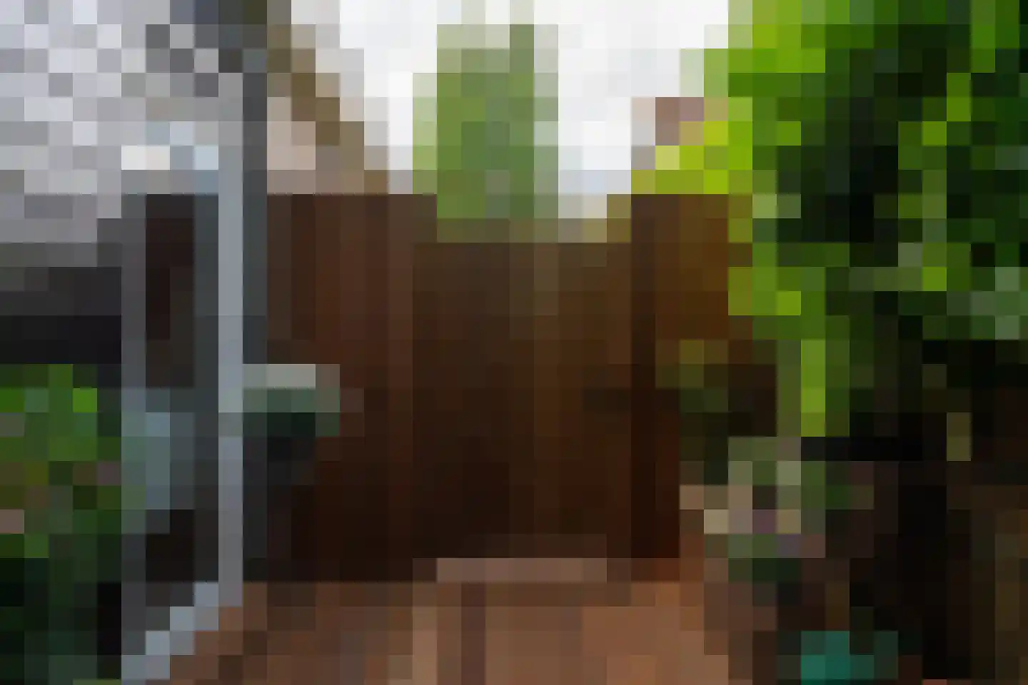 Oude Zeedijk 7 Dussen thumbnail 45