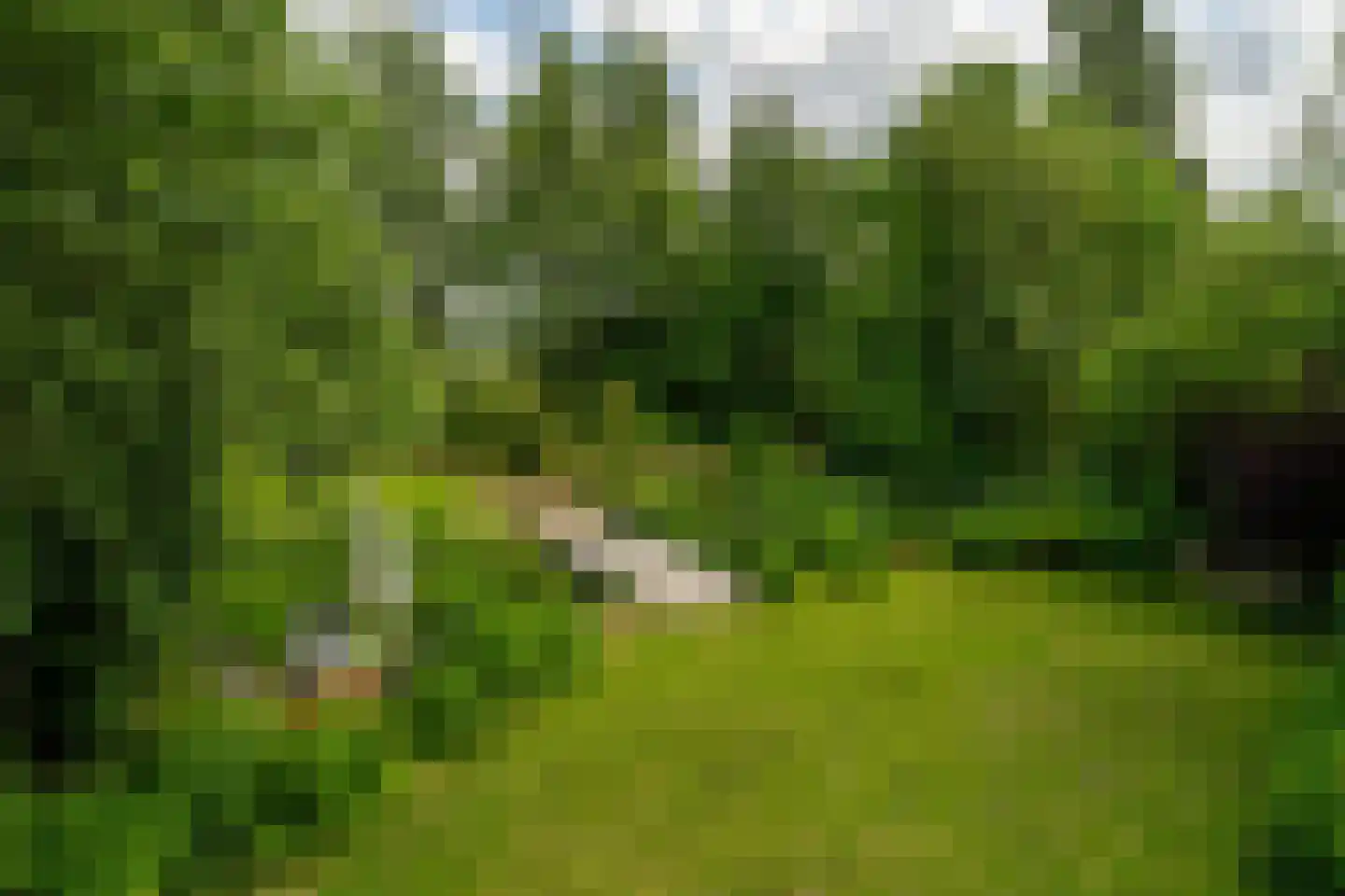 Oude Zeedijk 7 Dussen thumbnail 46