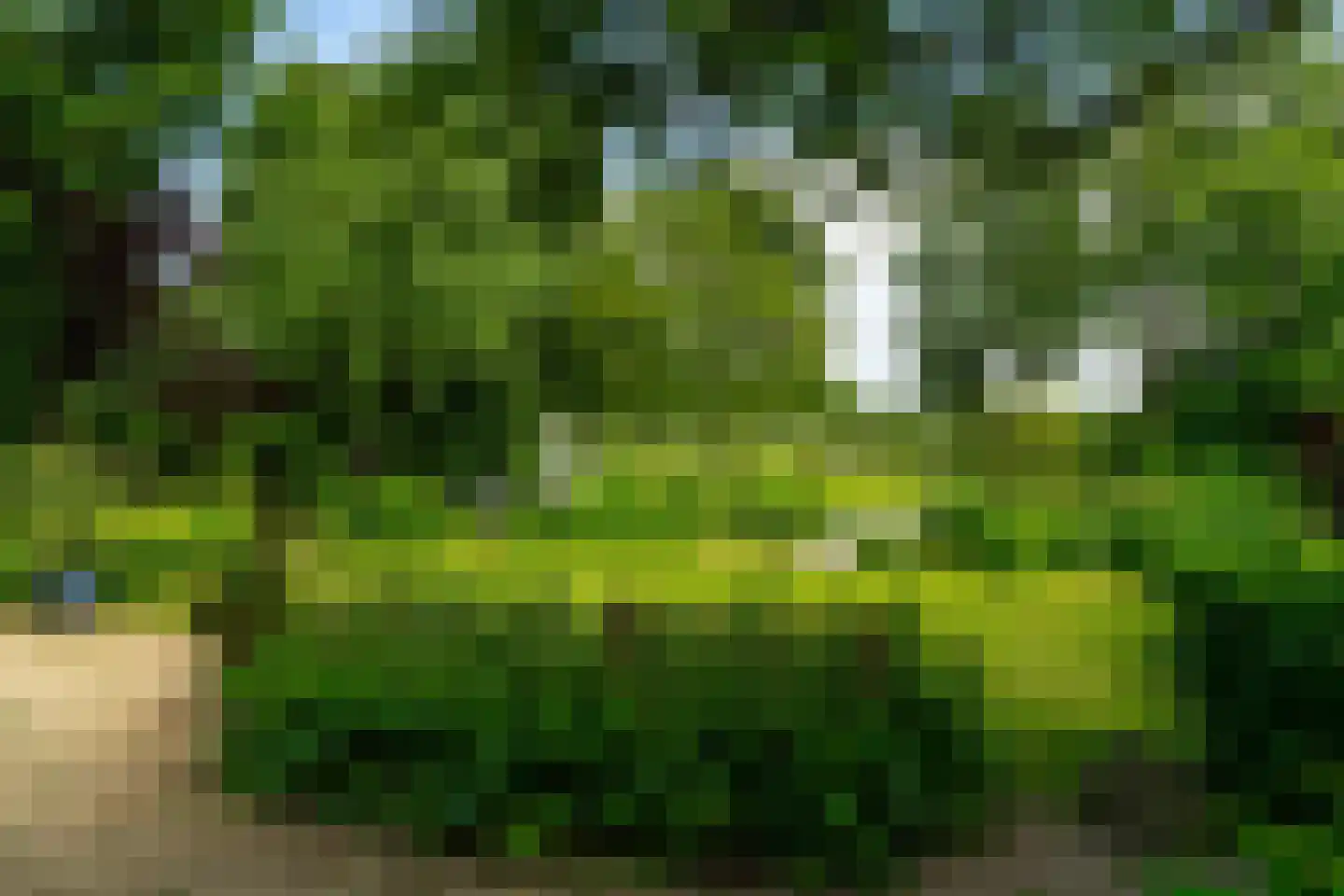 Oude Zeedijk 7 Dussen thumbnail 47