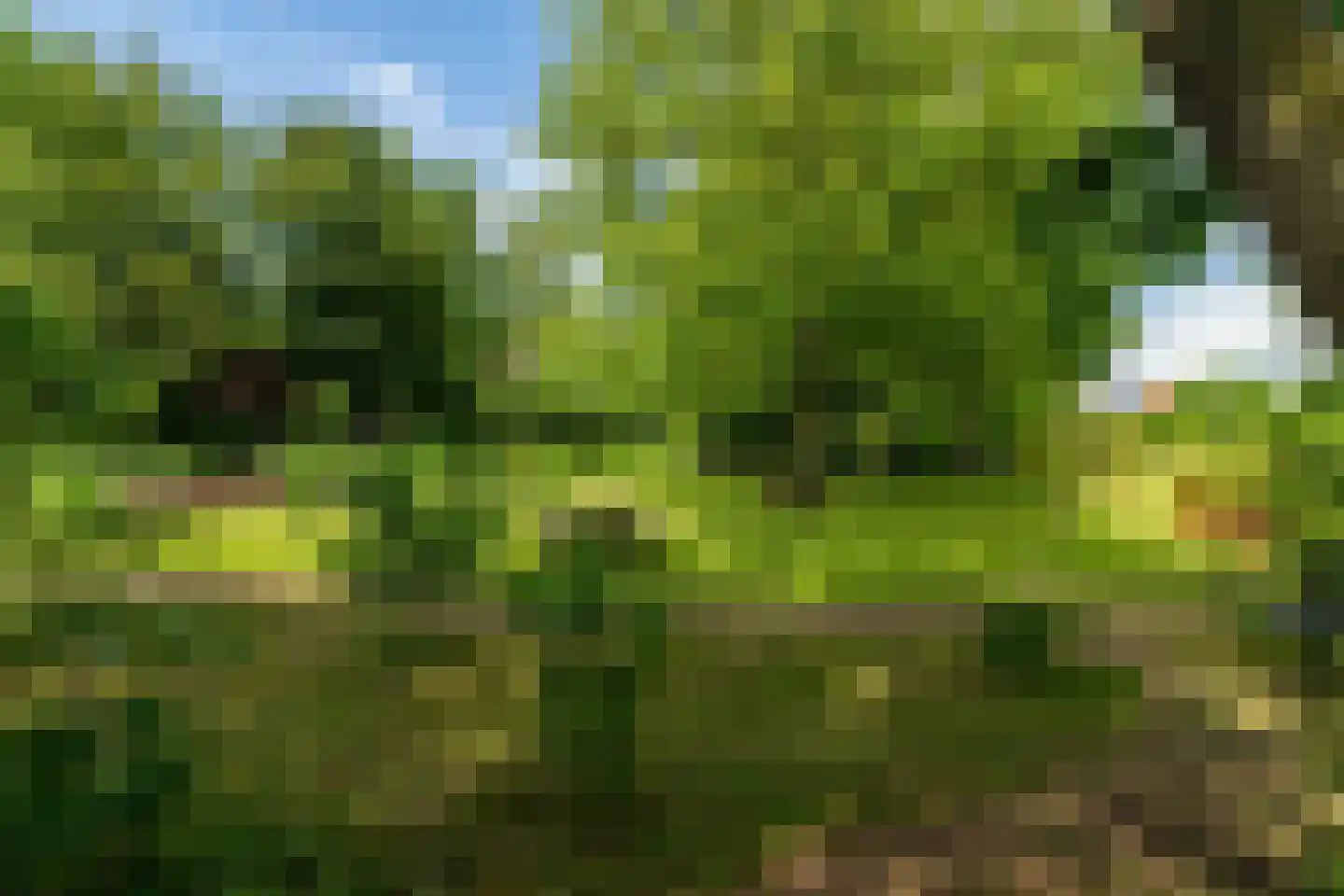 Oude Zeedijk 7 Dussen thumbnail 49