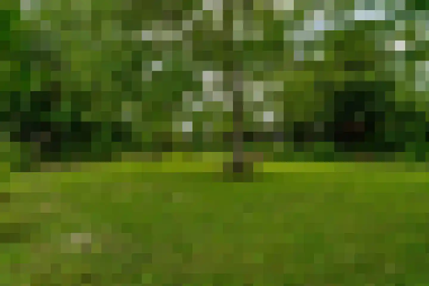 Oude Zeedijk 7 Dussen thumbnail 50
