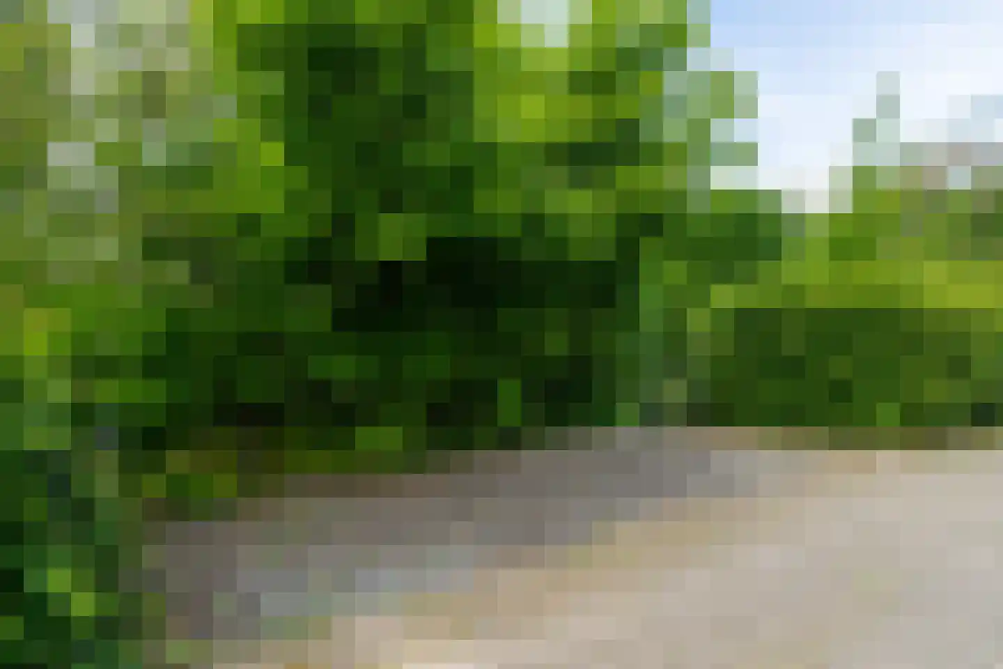 Oude Zeedijk 7 Dussen thumbnail 51