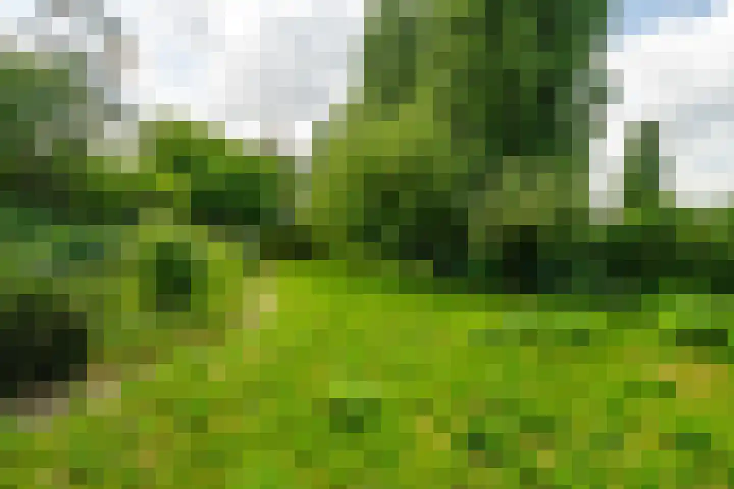 Oude Zeedijk 7 Dussen thumbnail 52