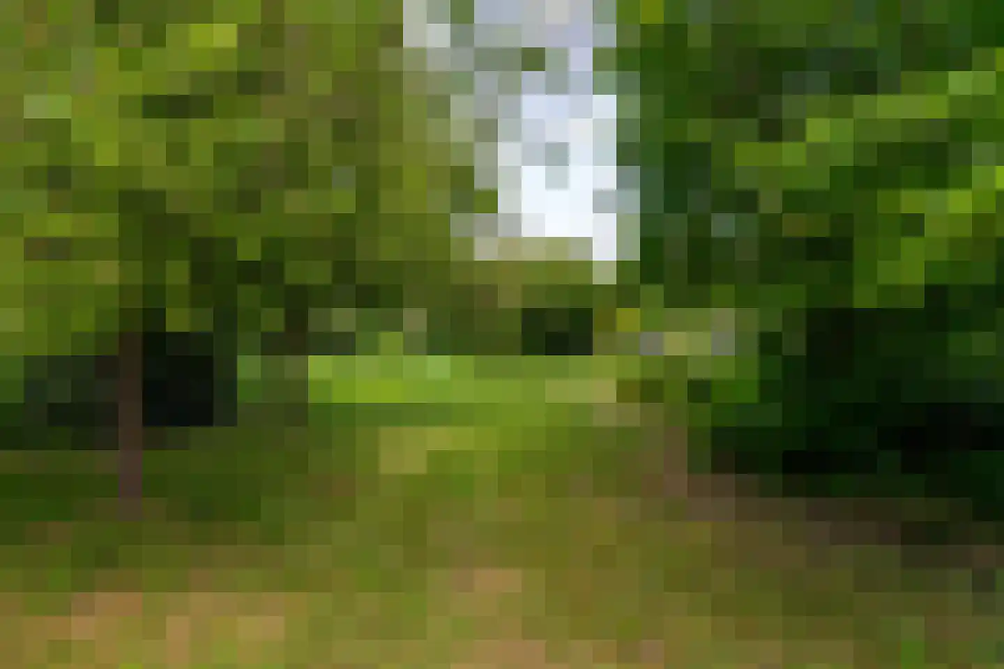 Oude Zeedijk 7 Dussen thumbnail 53
