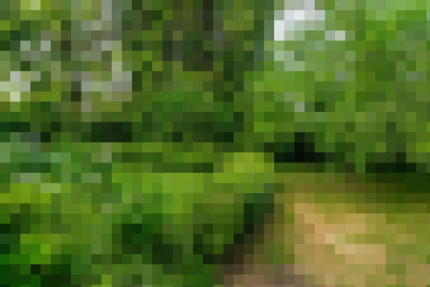 Oude Zeedijk 7 Dussen thumbnail 54