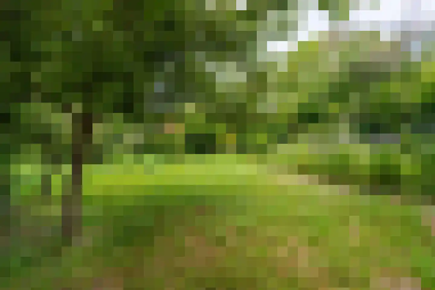 Oude Zeedijk 7 Dussen thumbnail 55