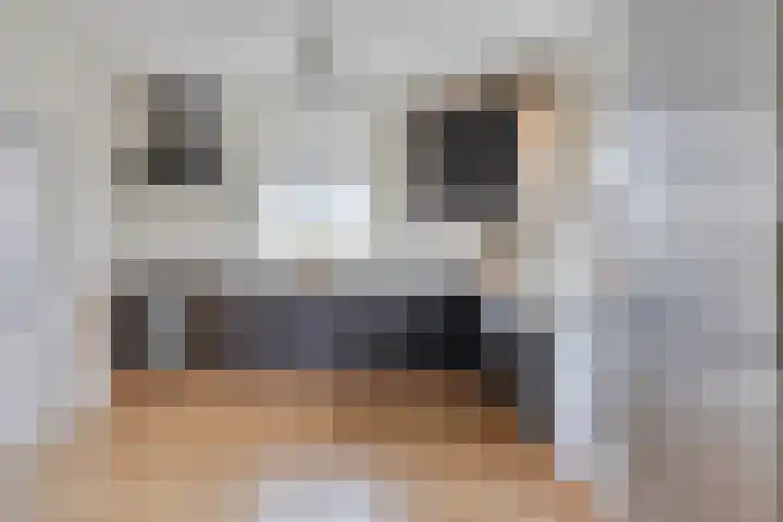 Oude Zeedijk 8 Sint-Annaland thumbnail 13