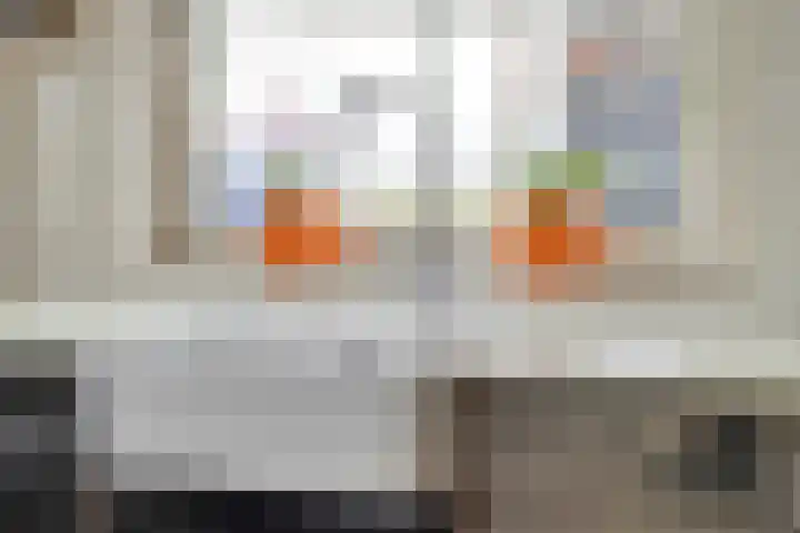 Oude Zeedijk 8 Sint-Annaland thumbnail 15