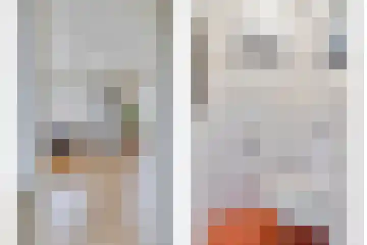 Oude Zeedijk 8 Sint-Annaland thumbnail 16