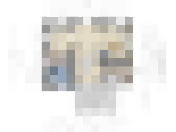 Oude Zeedijk 8 Sint-Annaland thumbnail 22